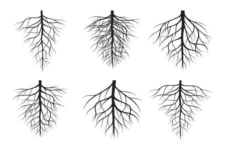 A set of black Tree Roots. Vector outline Illustration. Plant and Garden.のイラスト素材