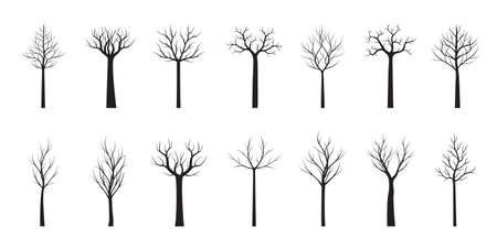 Naked Trees set on white background. Vector Illustration. Collection of icons.のイラスト素材