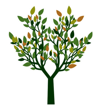 Collection of Trees. Vector outline Illustration. Plant in Garden.のイラスト素材