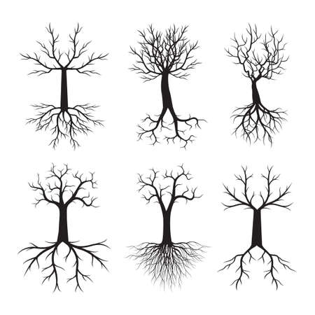 Set of black Trees. Vector outline Illustration.のイラスト素材