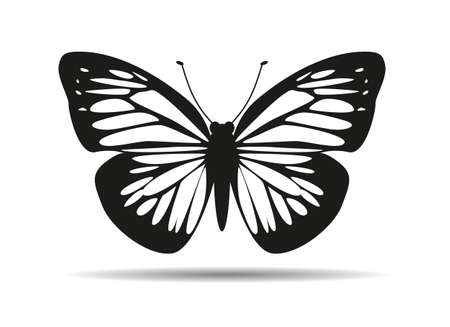 Butterfly Icons. Vector outline Illustration.のイラスト素材