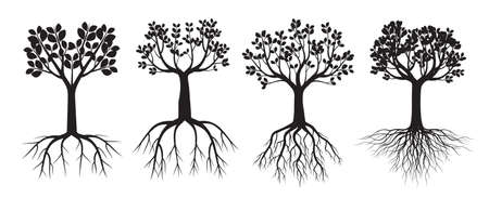 Set black Trees. Vector outline plants.のイラスト素材
