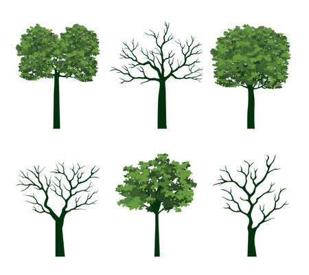 Set Green Trees. Vector illustration.のイラスト素材
