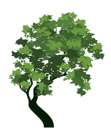 Green sloping Tree with Leaves. Vector Outline Illustration.のイラスト素材