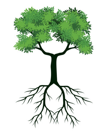 Spring Tree with Leaves and Roots. Vector Outline Illustration.のイラスト素材