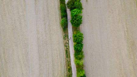 a path with trees photographed with the drone