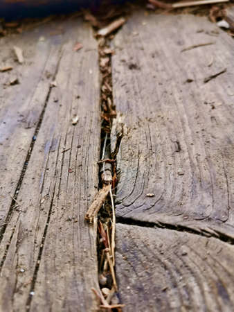 old wood photographed as a close-upの写真素材