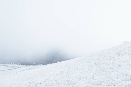 Beautiful winter landscape in the mountains at foggy day. Copyspace