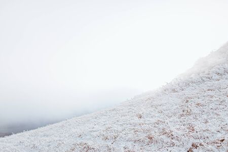 Beautiful winter landscape in the mountains at foggy day. Copyspaceの写真素材