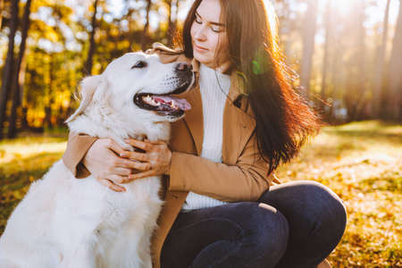 Young woman walk and play with her golden retriever in yellow autumn park. Friendship, care, pet...