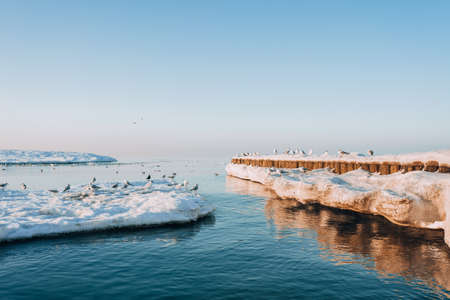 Winter coastal landscape with floating ice. Baltic sea in evening light.の写真素材