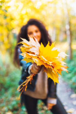 Young beautiful woman with a bouquet of yellow autumn leaves in the park on a warm autumn day....
