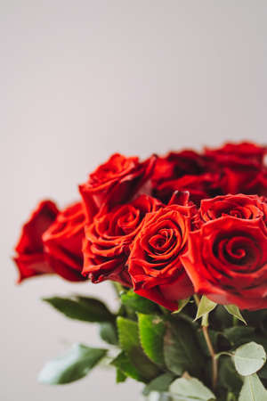 Close up bouquet of fresh dark red roses on neutral background with space for textの写真素材