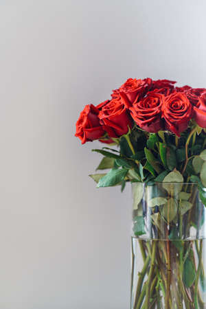 Close up bouquet of fresh dark red roses on neutral background with space for textの写真素材