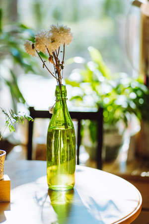 Composition of bouquet of white flowers chrysanthemums in green transparent bottle near fern on wooden round table on sunny day. Botany, greenhouse, summer, horticulture. Vertical, selective focus.の写真素材