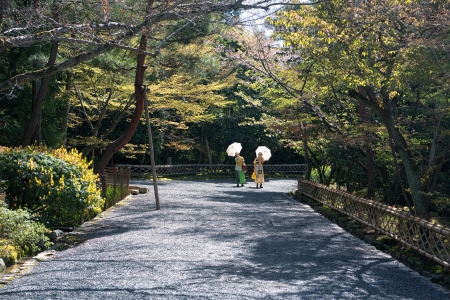 Kyoto, Japan - April 8, 2013: Two women with umbrellas enjoying spring in the park surrounding the famous Ryoan-ji temple.のeditorial素材
