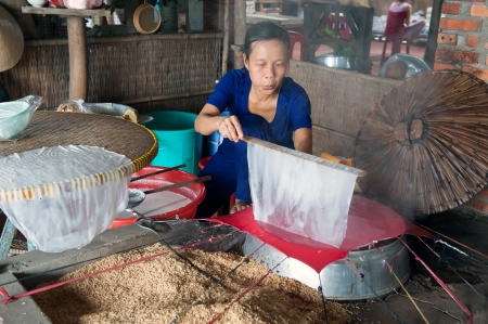 Ben Tre, Vietnam - March 7, 2009  A woman demonstrates how to make rice papers for Vietnamese spring rolls  Ben Tre has become a popular destination for tourists who want to experience rural Vietnam and the Mekong delta のeditorial素材