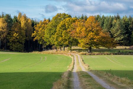 Autumn in the countryside of Vikbolandet in Swedenの写真素材