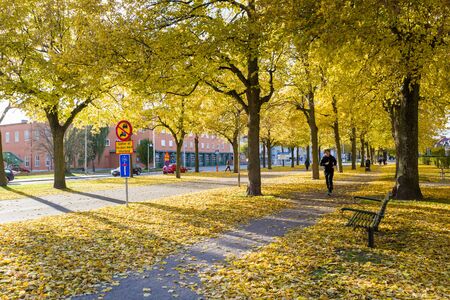 on a sunny and colorful autumn day in Norrkoping.のeditorial素材