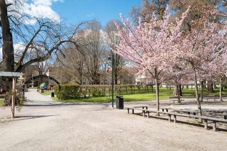 Linkoping, Sweden - April 25, 2016: Spring in the iconic park Tradgardsforeningen. This is a historic park in Linkoping, which is a famous University town.のeditorial素材