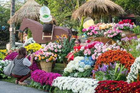 Chiang Mai, Thailand - February 6, 2016: Buak Hard Public Park during Chiang Mai Flower Festival. This year the world famous festival celebrated its 40th anniversary.のeditorial素材