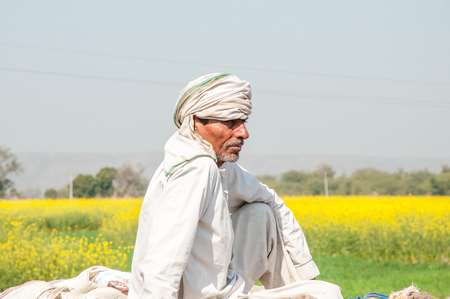 Rajasthan, India - February 5, 2011: Agricultural worker sitting on a cart in the countryside of Rajasthan. Rajasthani people are known as some of the most colorful people in India.のeditorial素材