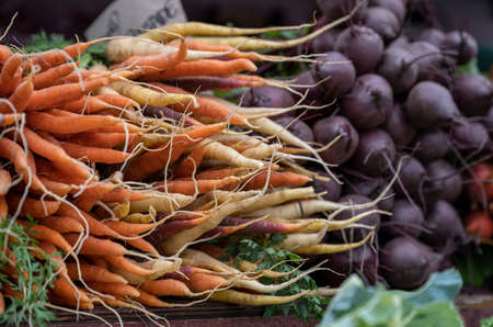 Vegetables and root vegetables for sale at a market in Borgholm on Swedish Baltic Sea island Ãland. The annual Harvest Festival during fall in Ãland attracts many tourists.の写真素材