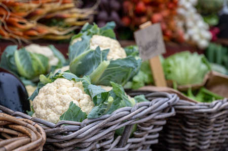 Vegetables and root vegetables for sale at a market in Borgholm on Swedish Baltic Sea island Ãland. The annual Harvest Festival during fall in Ãland attracts many tourists.の写真素材