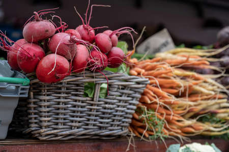 Vegetables and root vegetables for sale at a market in Borgholm on Swedish Baltic Sea island Ãland. The annual Harvest Festival during fall in Ãland attracts many tourists.の写真素材