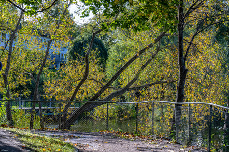 Autumn leaves on the trees and walkway during autumn evening in the park Ãbackarna in NorrkÃ¶ping, Sweden.の写真素材
