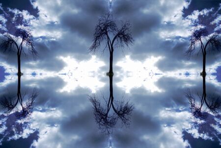 Three trees and still waterの写真素材