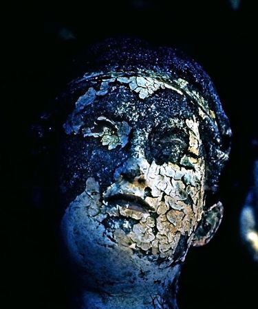 Aged Beautyの写真素材