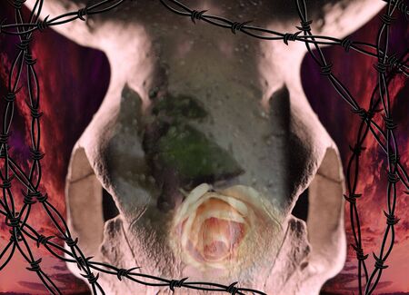 Western Industryの写真素材