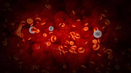 Red and white blood cells