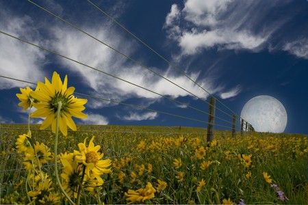 Landscapeの写真素材