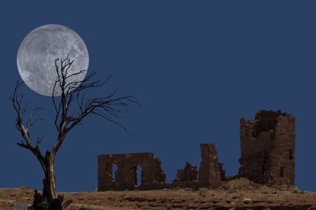 Ruins with Treeの写真素材