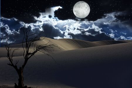 Desertの写真素材