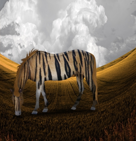 Tiger Striped Horse in Landscapeの写真素材