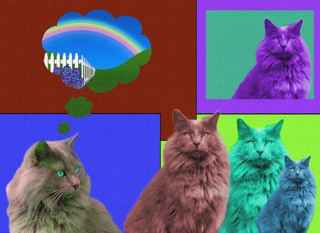 POPart Cats with textureの写真素材