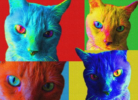 POPart Cats with textureの写真素材