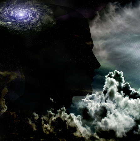 Cosmosの写真素材