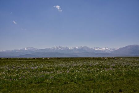 Western USA Fields and Mountainsの写真素材