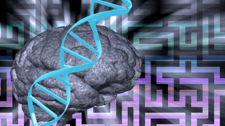 Dna abd brain puzzleの写真素材
