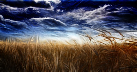 Abstracted Field and Skyの写真素材