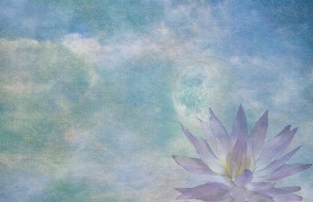 Lotus and moonの写真素材