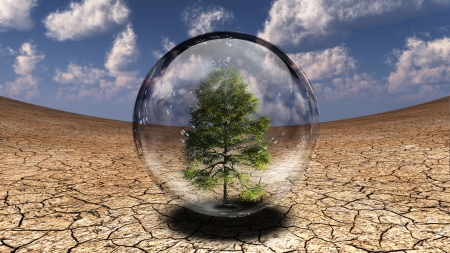 Tree inside glass bubble in desertの写真素材