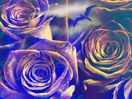 Symbolic Compositionの写真素材