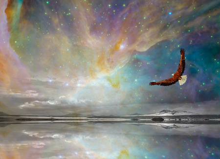 New Mexico Starsの写真素材