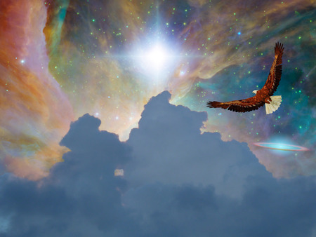 Eagle in fantasy Flightの写真素材
