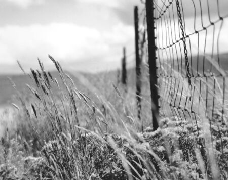BW Fance and Fieldの写真素材